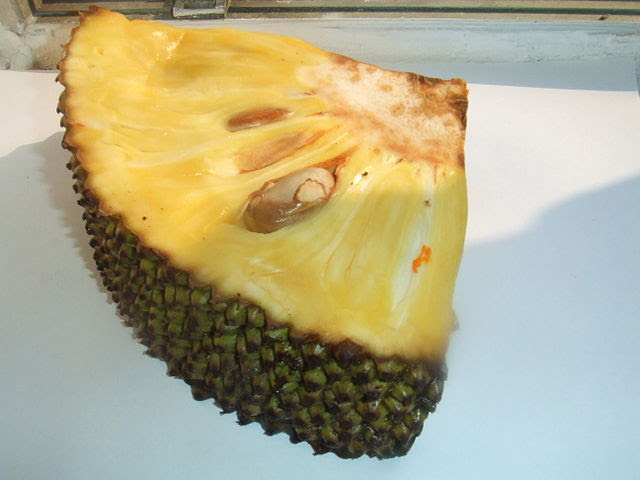 Jackfrukt Jackfrukt
