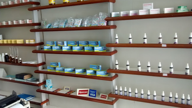 farmaciahanemanianameier.com.br