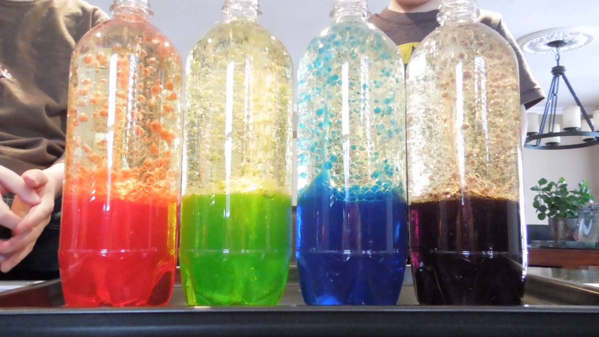 Lava Lamp Science Project Hypothesis 42 best Science Worksheets and More! images on Pinterest