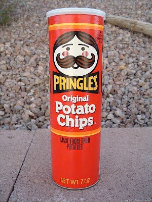 Websessed: Burried In a Pringles Can