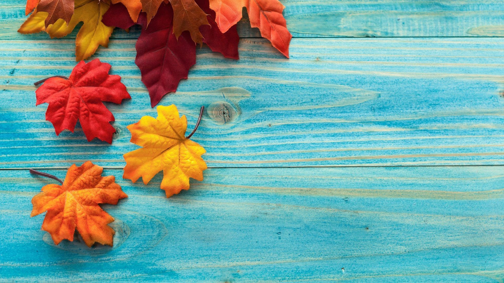 24++ Cute Autumn Leaves Wallpaper - Basty Wallpaper