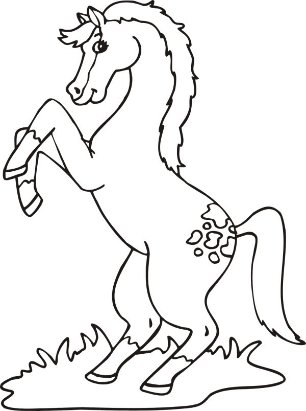 Dessin A Imprimer Cheval Et Poney  Get Images One
