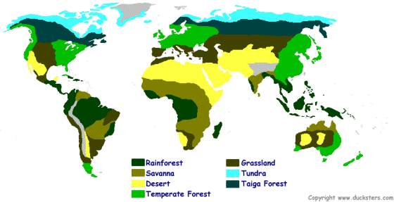 FSLOVENGLISH: ECOSYSTEMS