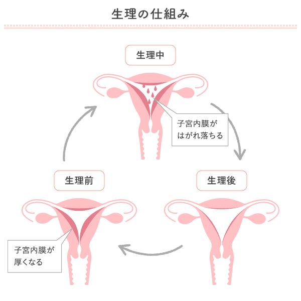 せックス後 子宮 痛い 生理前 englsha