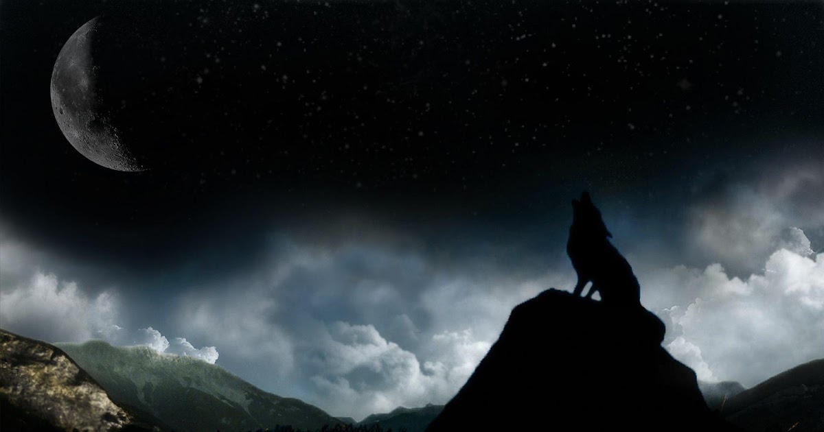 Beautiful Dark Wolf Desktop Wallpaper Hd Photos