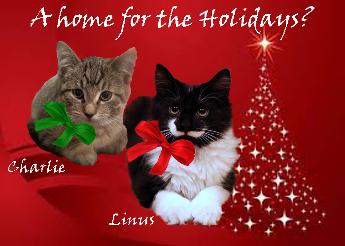 Charlie and Linus Charlie and Linus
