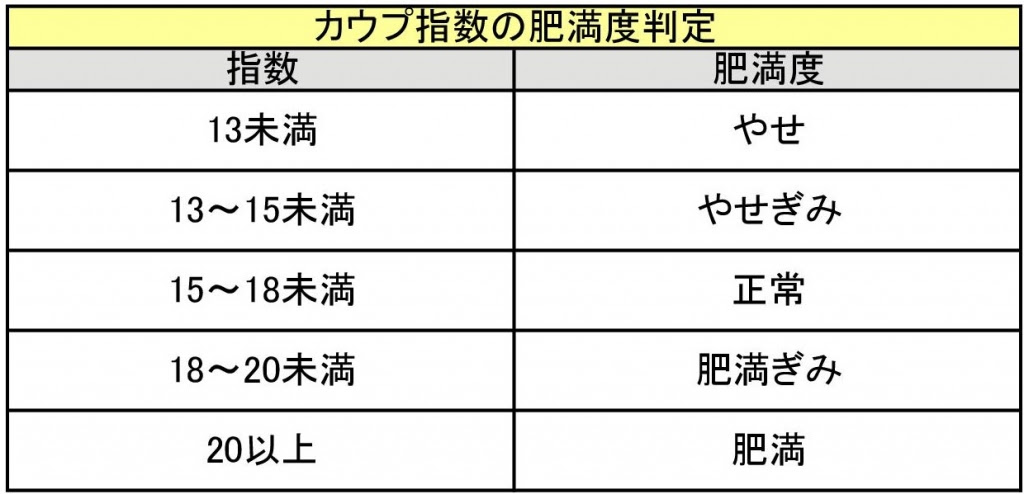 カウプ 指数