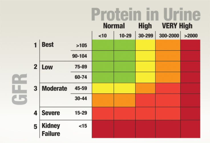 Kidney Function Test Normal Values Chart