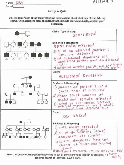 amoeba-sisters-pedigree-worksheet-answer-key-amoeba-sisters-video