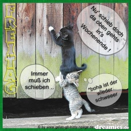 Guten Morgen Schönen Freitag Winterlich