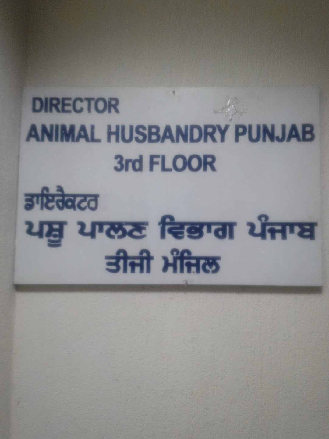 Animal Husbandry Punjab