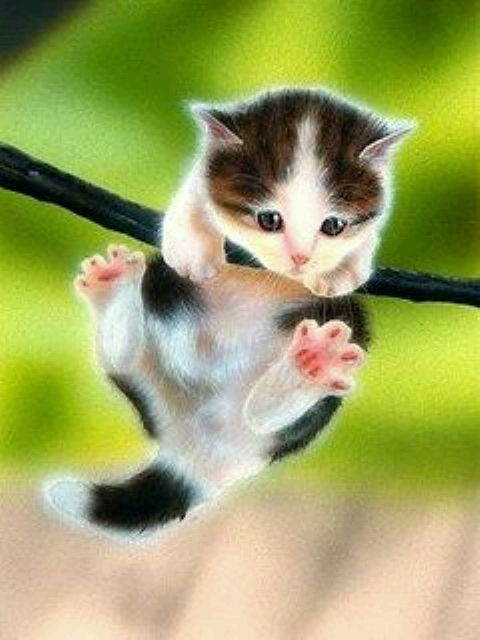 心に強く訴える可愛い 動物 待ち受け 最高の動物画像