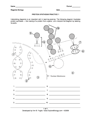 Protein Synthesis Practice 1 Worksheet Answers - ProteinWalls