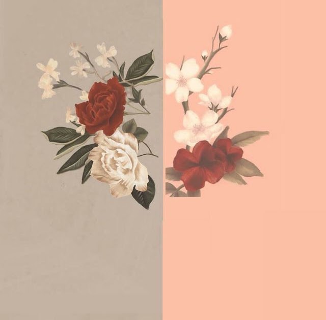 Aesthetic Simple Flower Wallpaper Iphone