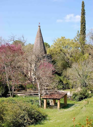 Quinta da Anunciada Velha, 2305-432