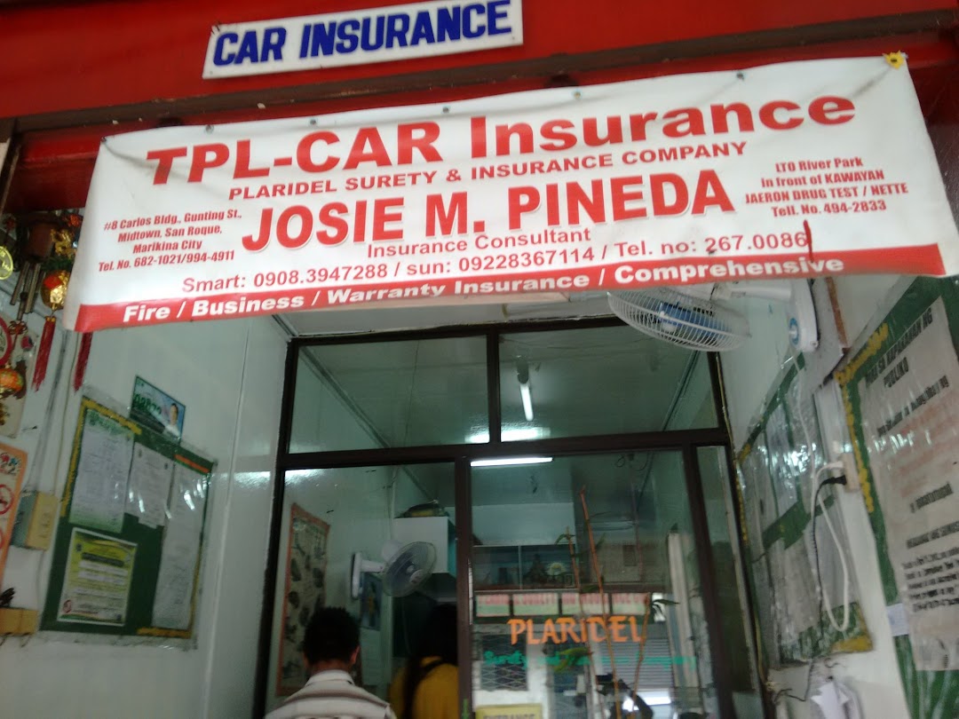 Plaridel Surety & Insurance Company