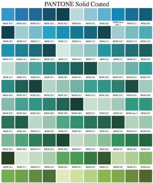 Forest 36 Forest Green Pantone Color Green Background