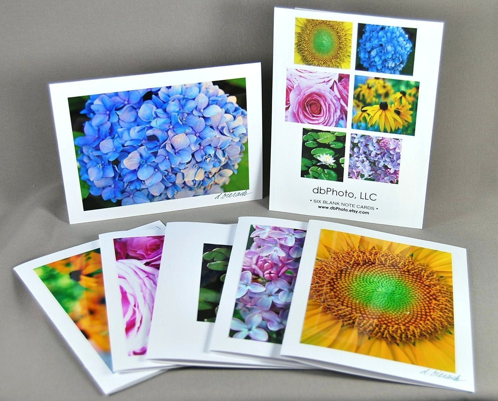 Flower Box Set (6) Cards