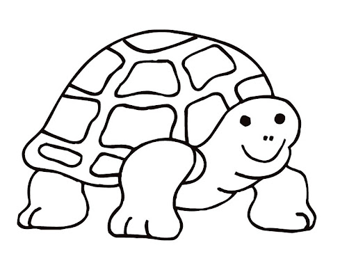 simple drawing of a turtle