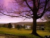 Spring in Utica