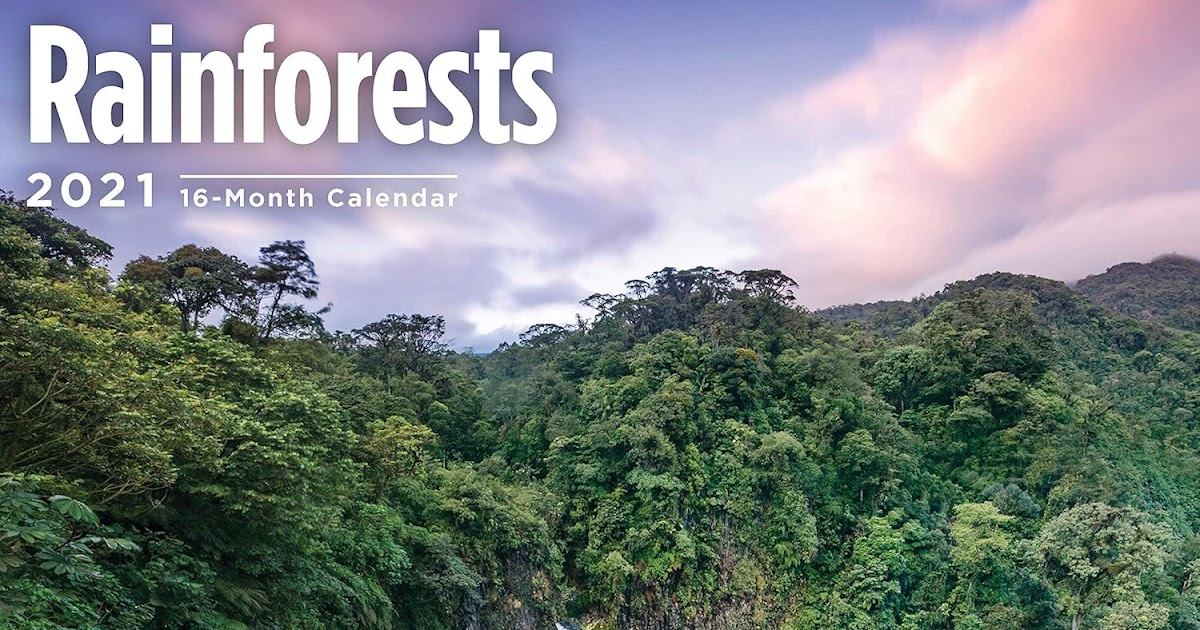 Rainforest Calendar 2021 | 2021 Calendar