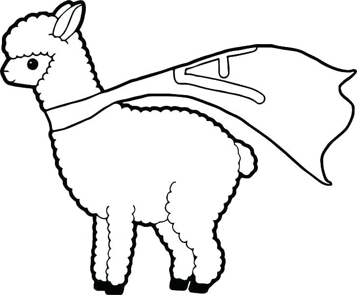 Easy Llama Coloring Page - 184+ File for Free