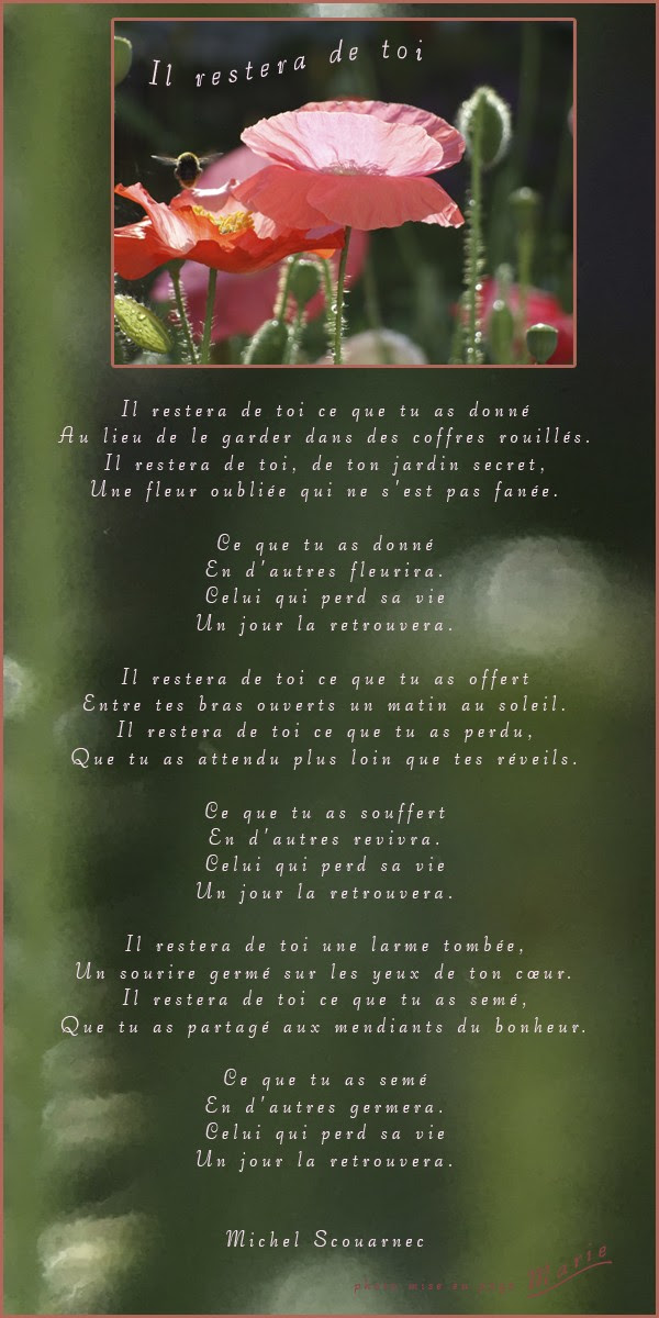 Il Restera De Toi Paroles Au pays des images et des mots: Poésies cueillies sur un coup de coeur