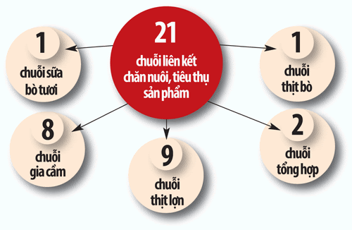 Tầm Quan Trọng Của Chuỗi Liên Kết