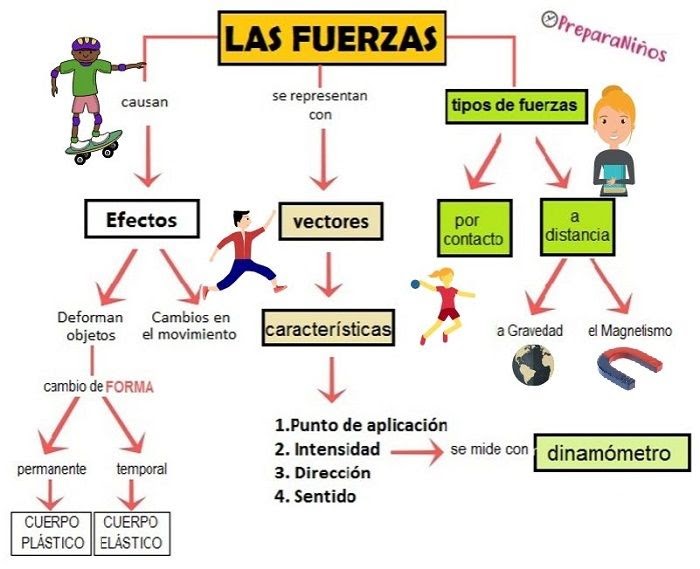 Mapa Conceptual De Las Fuerzas Geno