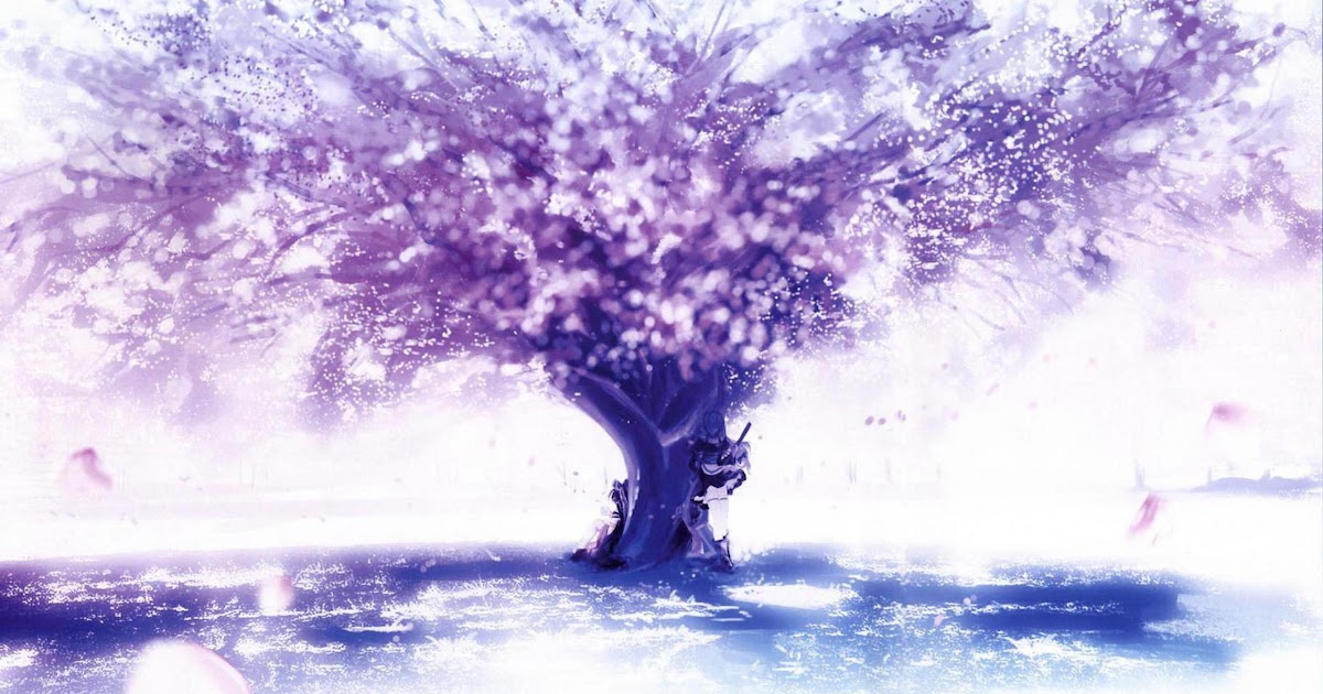 Night Anime Cherry Blossom Tree Background