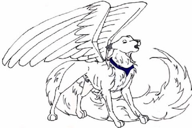 Anime Mystical Wolf Coloring Pages - Coloring and Drawing