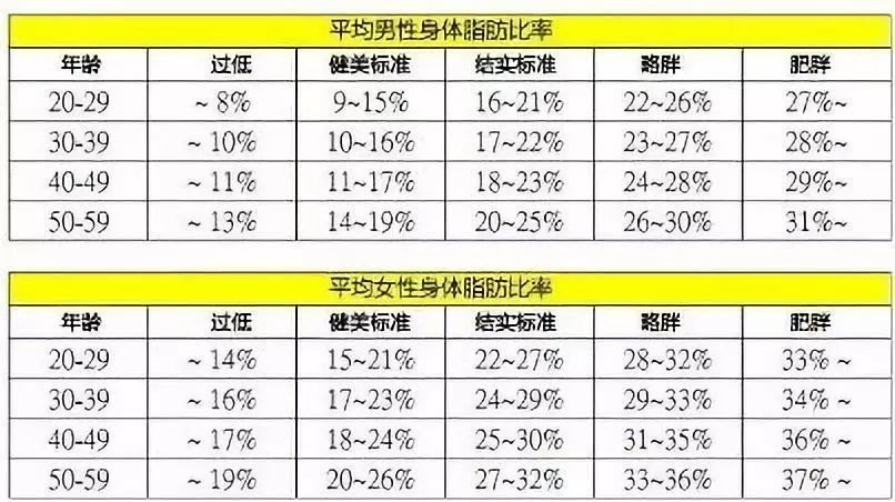 女子 体 脂肪 率 平均