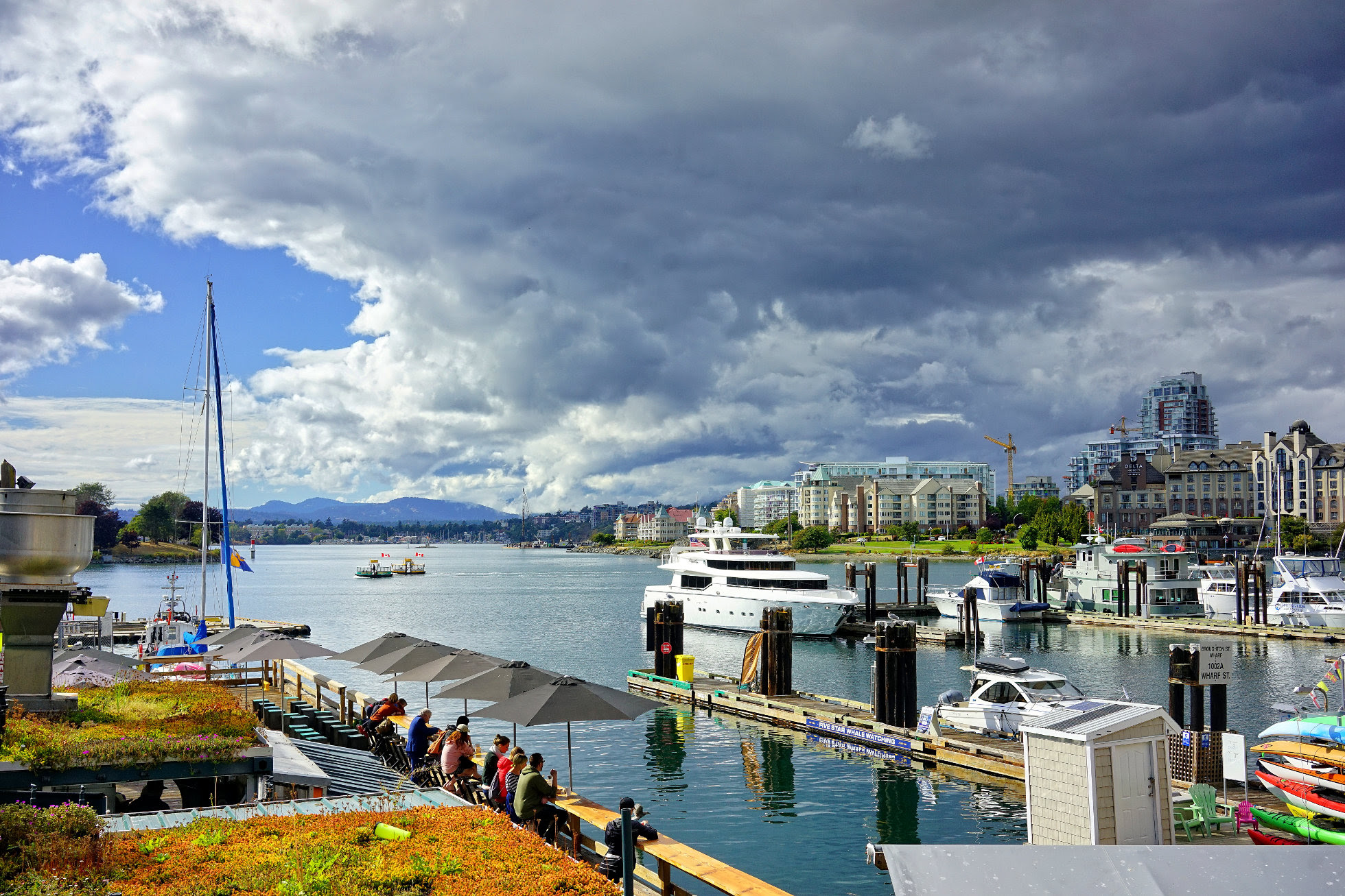 Victoria Daily Photo: Lunch With A View