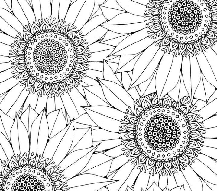 Aesthetic Coloring Pages / Aesthetic Coloring Pages / Aesthetic Art