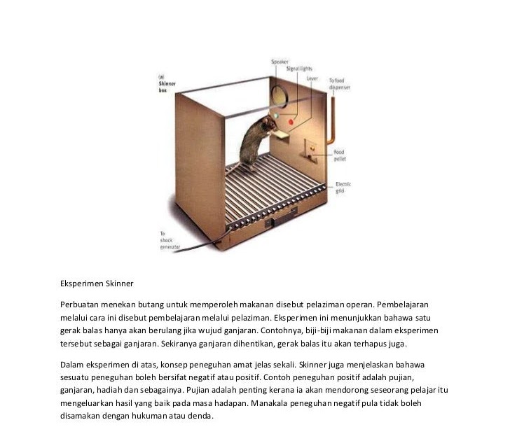 Teori Pelaziman Operan Skinner Teori Operan Ada 6 Asumsi Yang