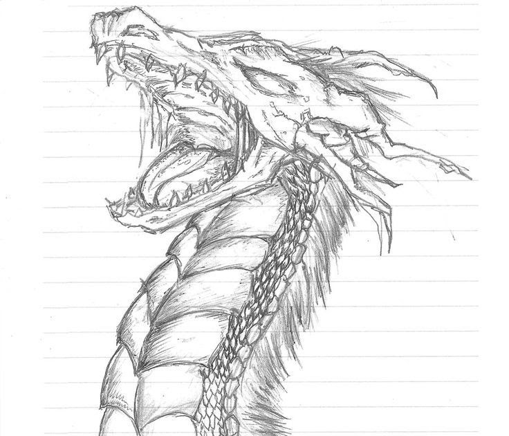 Drawing Of Dragon Breathing Fire - Annikafrdx