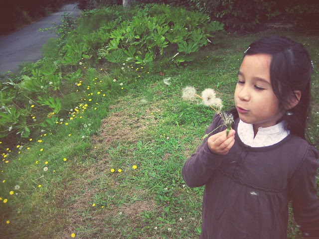 Make a wish!