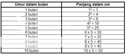 Sambil minum teh nambah ilmu Panjang dan berat bayi 