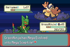 Pokemon Hd Mega Stone Cheat Pokemon Theta Emerald