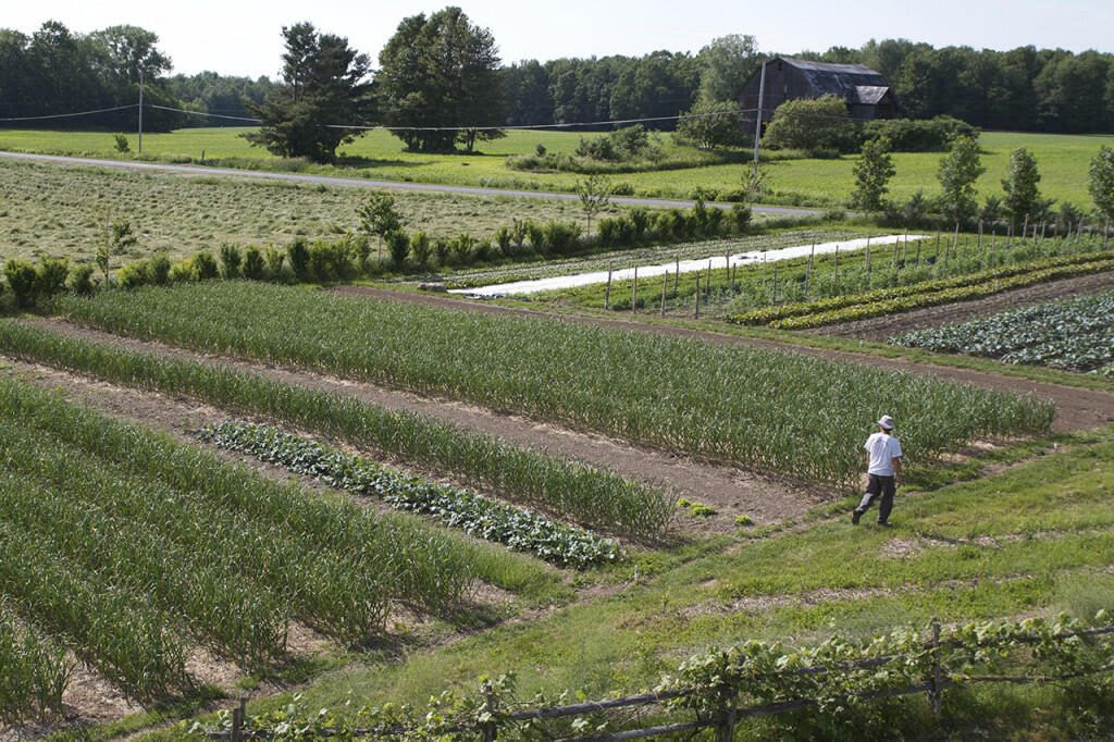 Market Gardening And Fruit Farming Truck Farming Farming