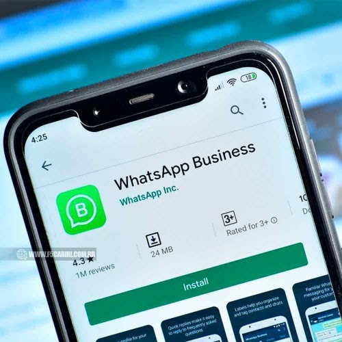  Curso gratuito sobre WhatsApp Business oferece dez mil vagas para empreendedores