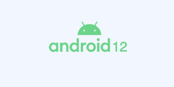 Cách cài đặt Android 12 trên mọi thiết bị arm64