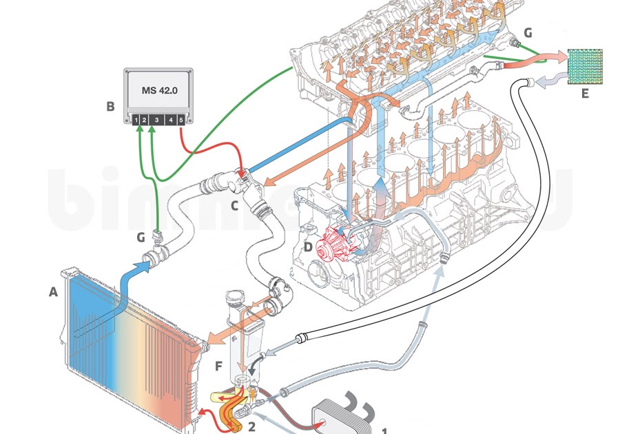 2008 Bmw 328i Cooling System Diagram - Thxsiempre