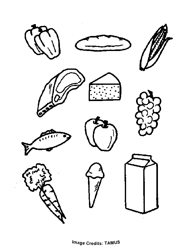 Featured image of post How To Draw Protein Foods - Without amino acids, life could not exist.