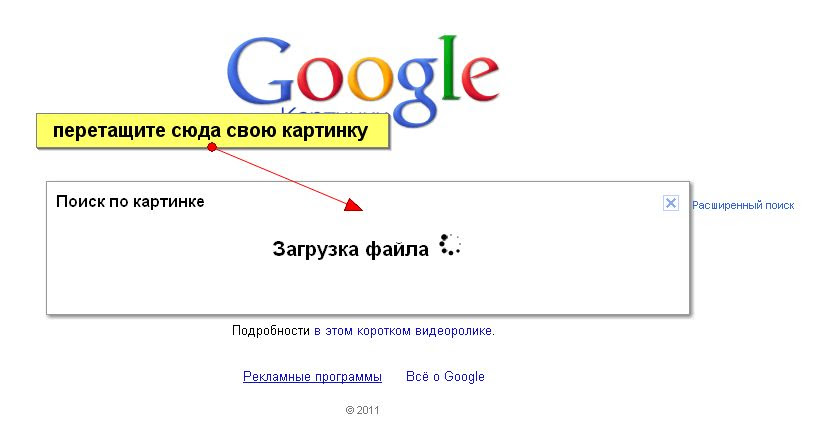 Поиск по видимому. Поиск по изображению. Как искать по картинке. Искать по картинке гугл. По картинке.