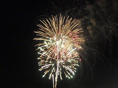 fireworks (3)