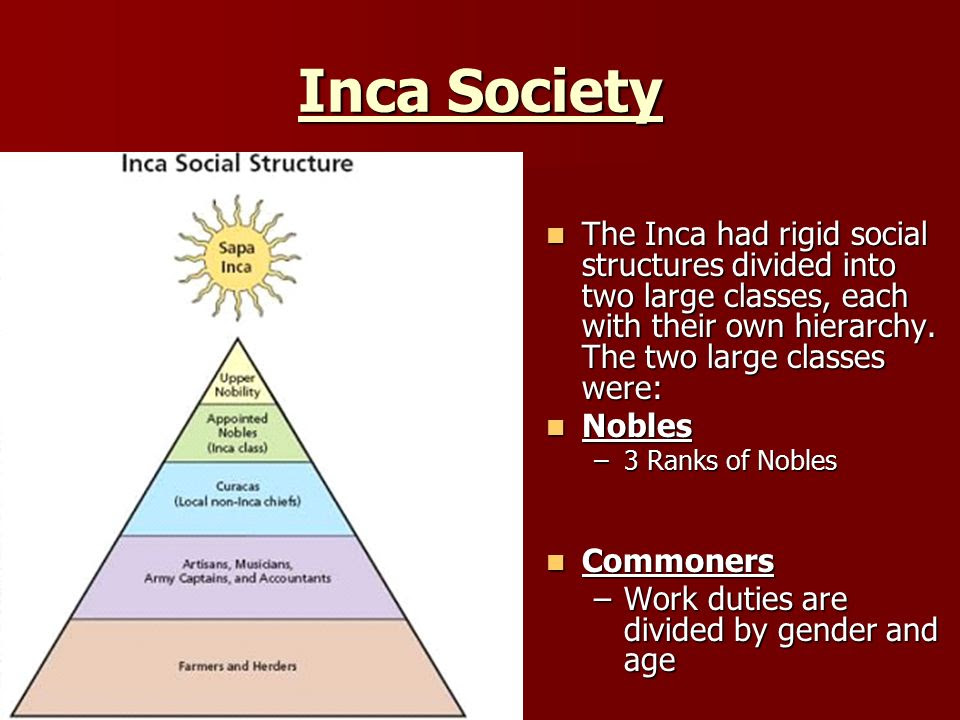 Social Studies: Social Structure