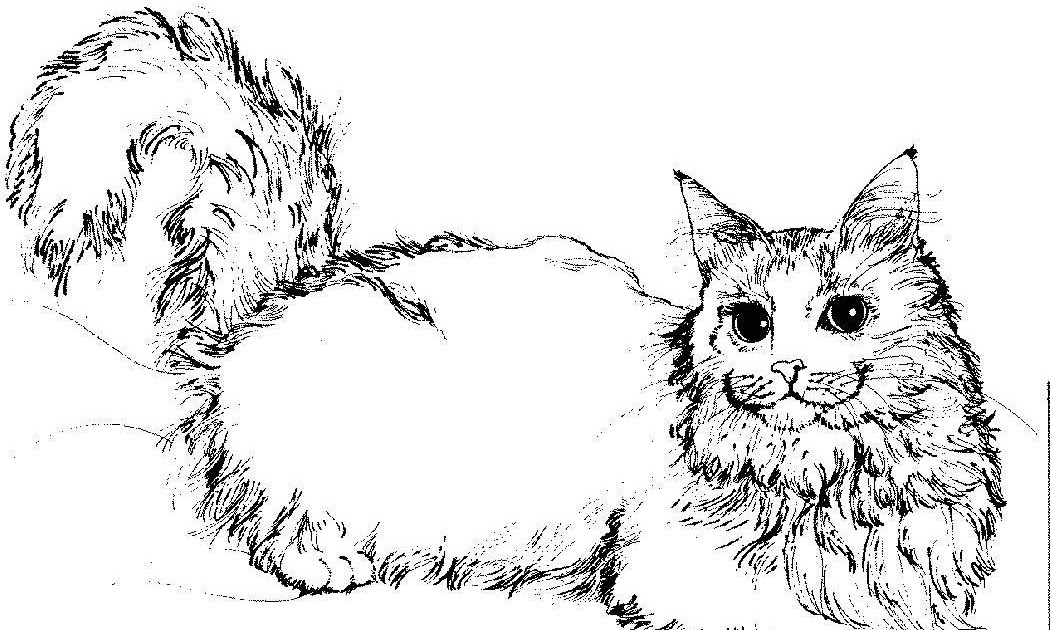 Download Wild Cat Coloring Pages