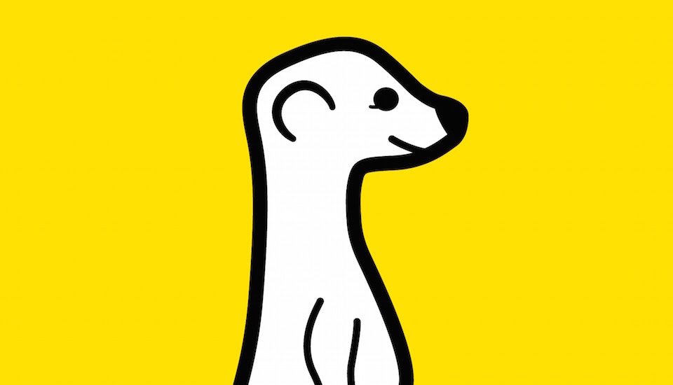 Meerkat