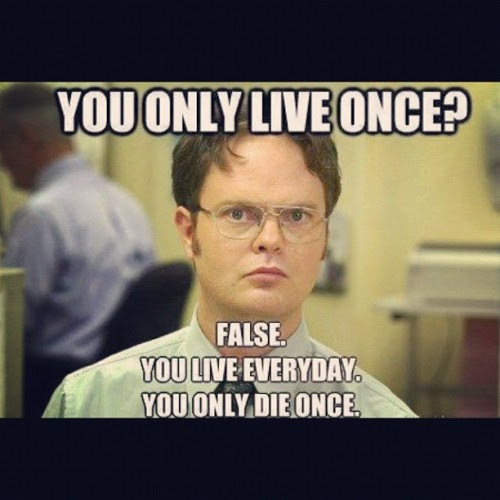 Orange The Office Dwight Quotes. QuotesGram | 44 Quotes